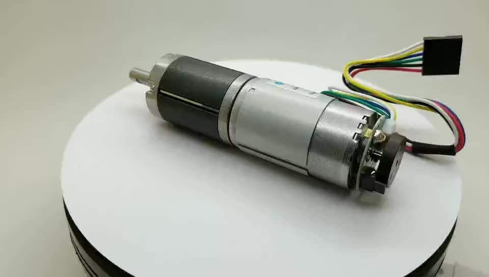 12v 18v 24v 10rpm 60rpm 10kg.cm 16kg.cm hoog koppel dc planetaire versnellingsmotor met encoder